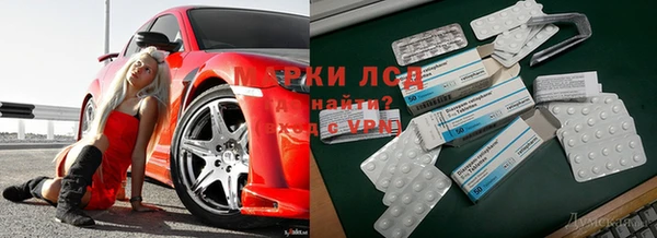 ГАЛЛЮЦИНОГЕННЫЕ ГРИБЫ Киреевск