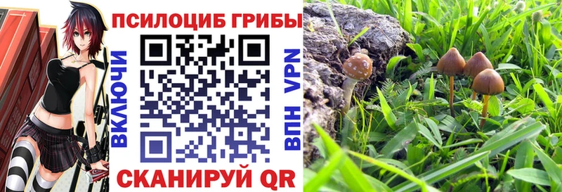 Купить закладки  Бежецк  Галлюциногенные грибы мицелий 